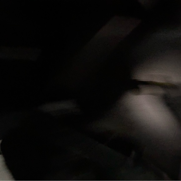 Meet your Posher, Hailey - Picture 1 of 1